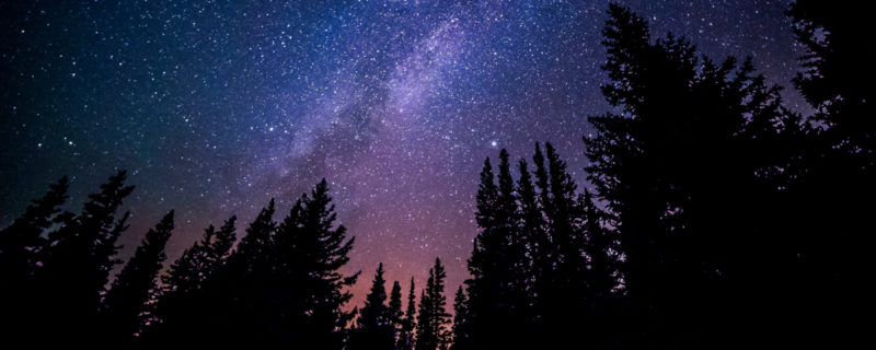 stars