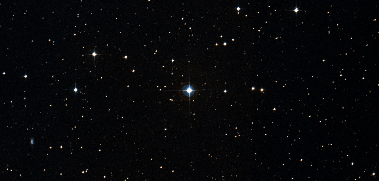 stars