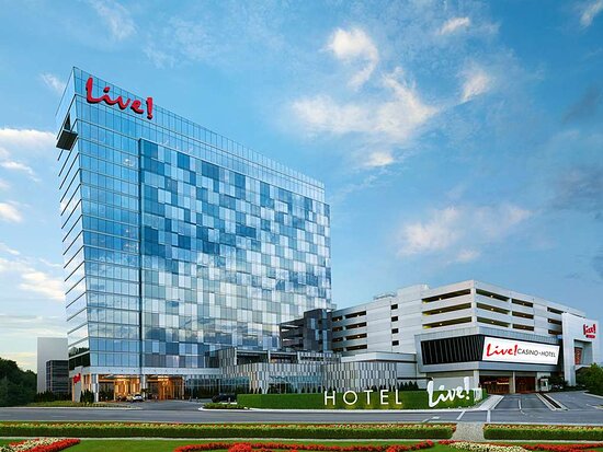 Live Casino